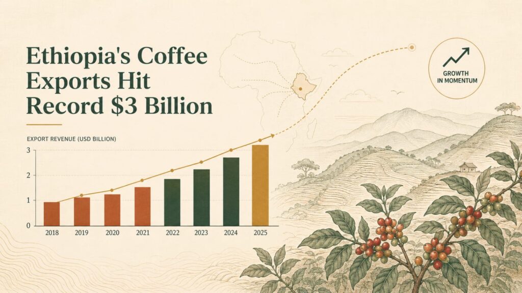 Ethiopia’s Coffee Exports Hit Record $3 Billion, Government Sets $6 Billion Target for 2031