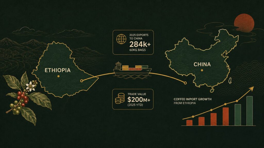 China Emerges as a Fast-Growing Destination for Ethiopian Coffee